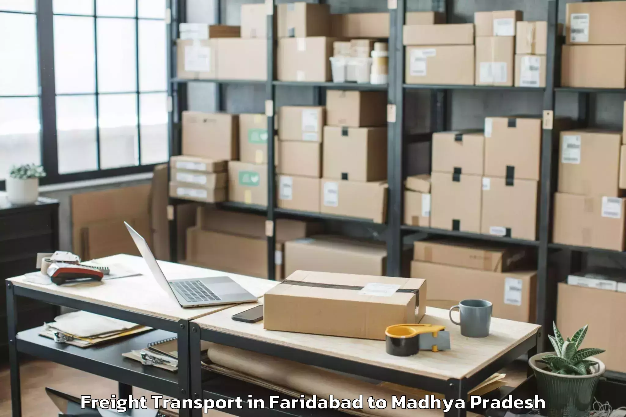 Discover Faridabad to Manpur Freight Transport